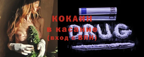трава Гусиноозёрск