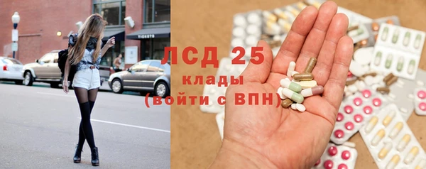 трава Гусиноозёрск