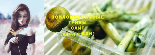 прущая мука Гусь-Хрустальный