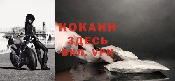 трава Гусиноозёрск