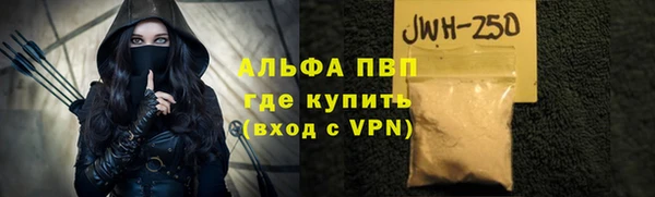 эйфоретик Гусев
