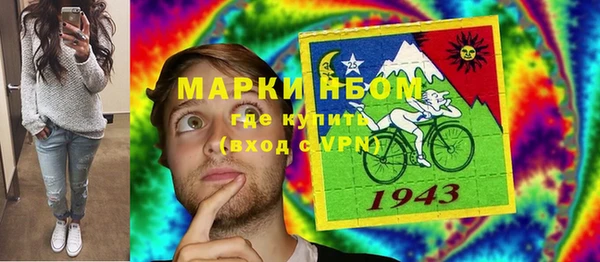 трава Гусиноозёрск