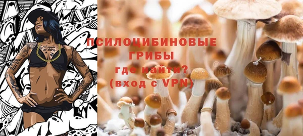 трава Гусиноозёрск