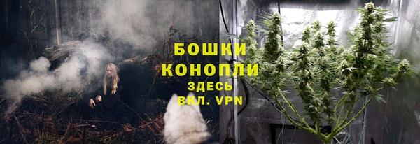 эйфоретик Гусев