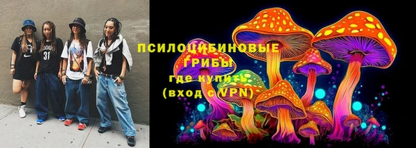 эйфоретик Гусев