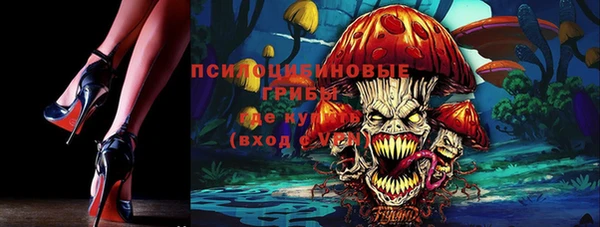 трава Гусиноозёрск
